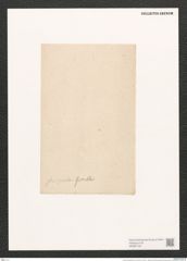 Navicula forcipata Grev. (de-Toni-Nr.: Genus 1, Species 332) Zeichnungen Sammlung Grunow (NHMW-BOT-W0367159)